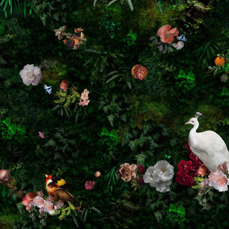 Behang The Peacock I Provinyl