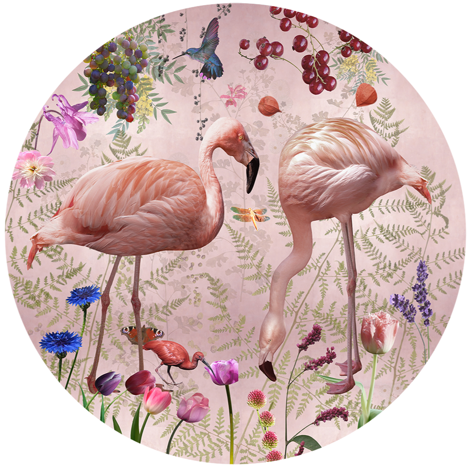 Behangcirkel Audubon ⌀ 130 cm pink