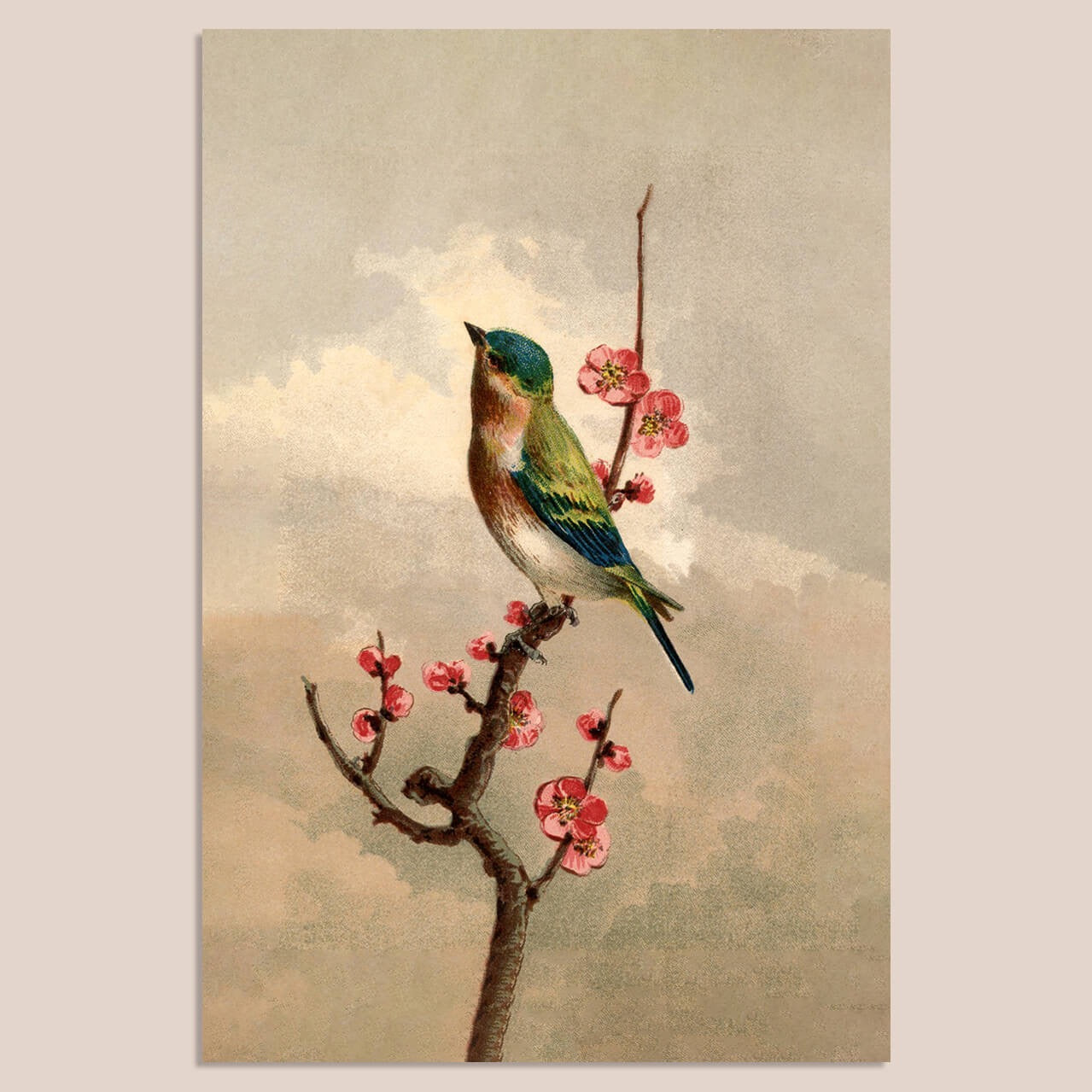 Arty-Shock Mix &amp; Match collectie: &