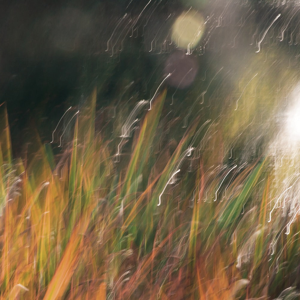 Magic Artwear &quot;Autumn Breeze&quot;