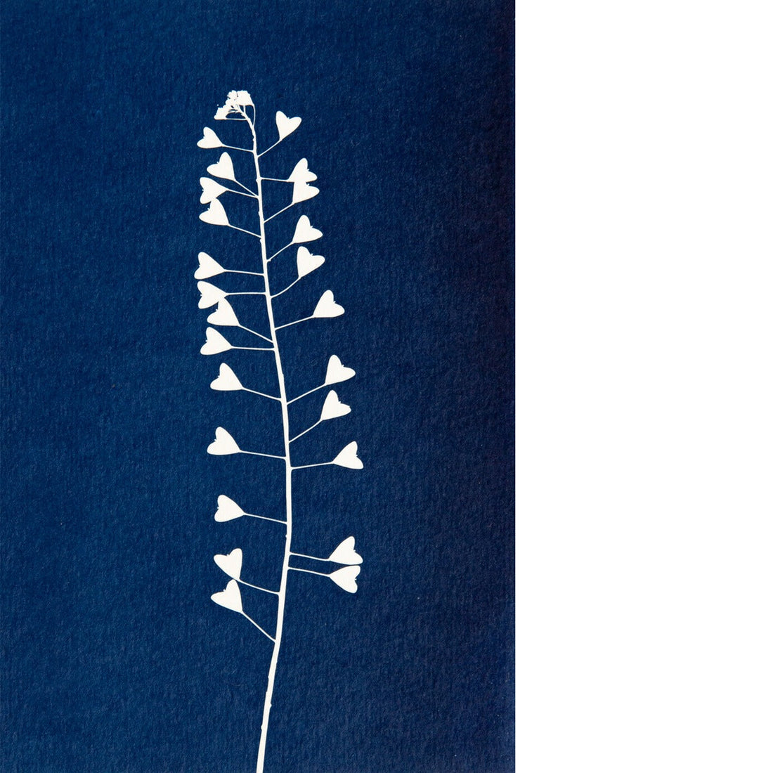 Cyanotype 10x15 Herderstasje No. 2
