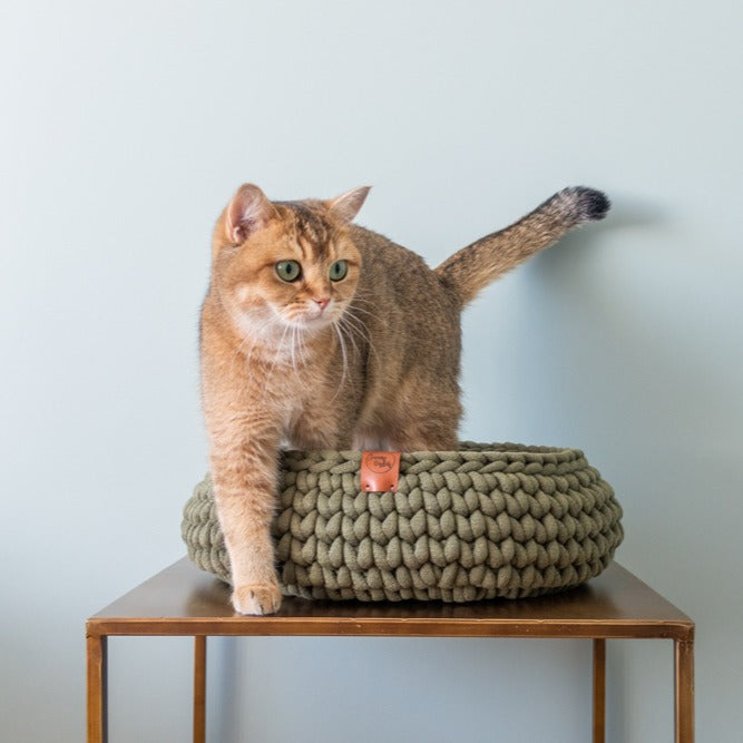 Sunny Basket - Kattenmand Avocado