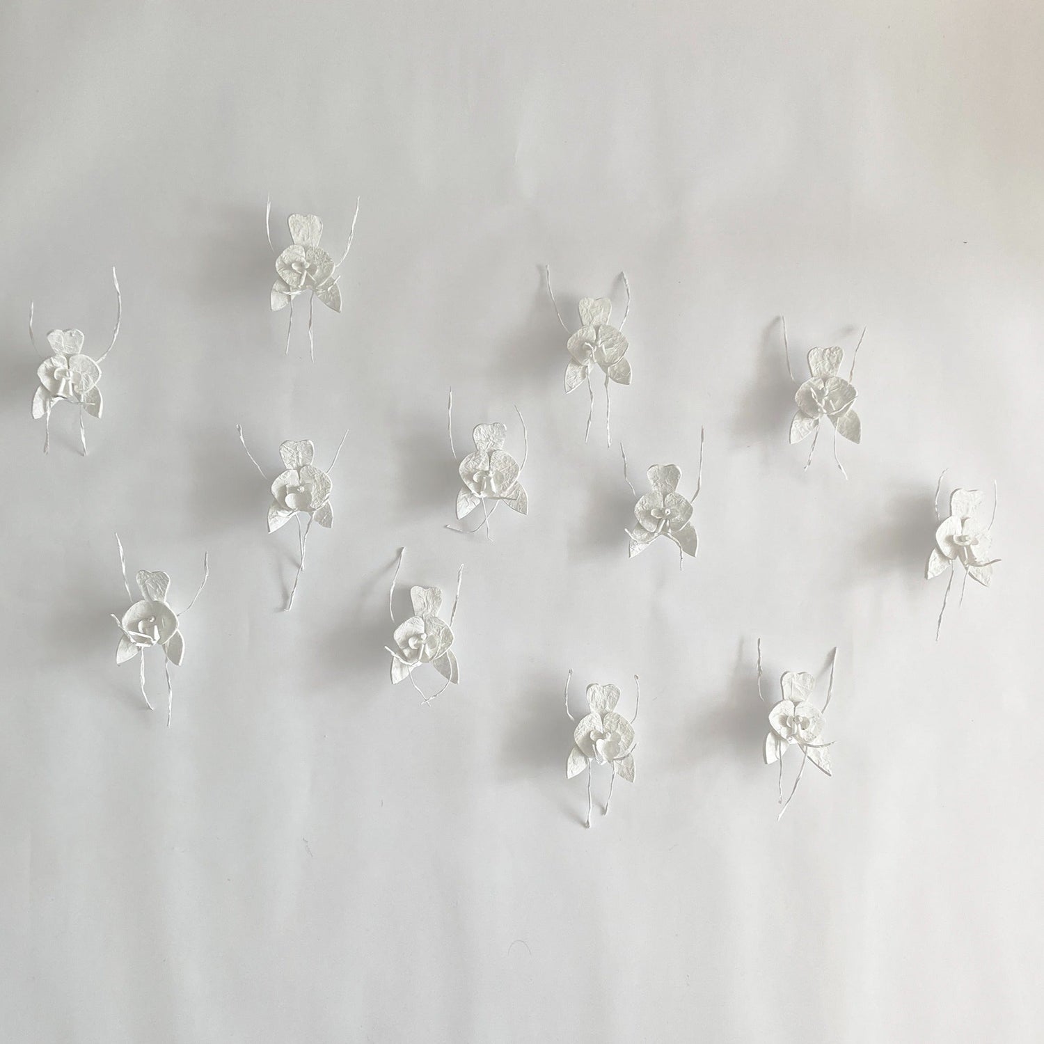 Orchidee muur decoratie