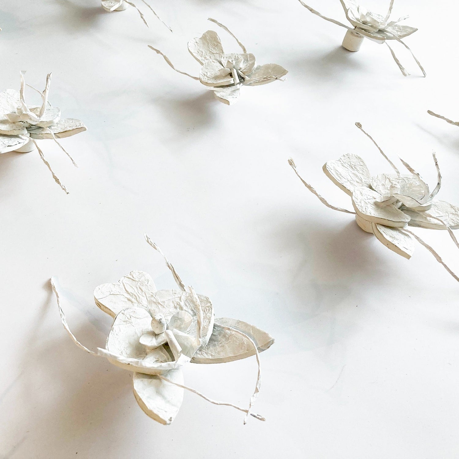 Orchidee muur decoratie