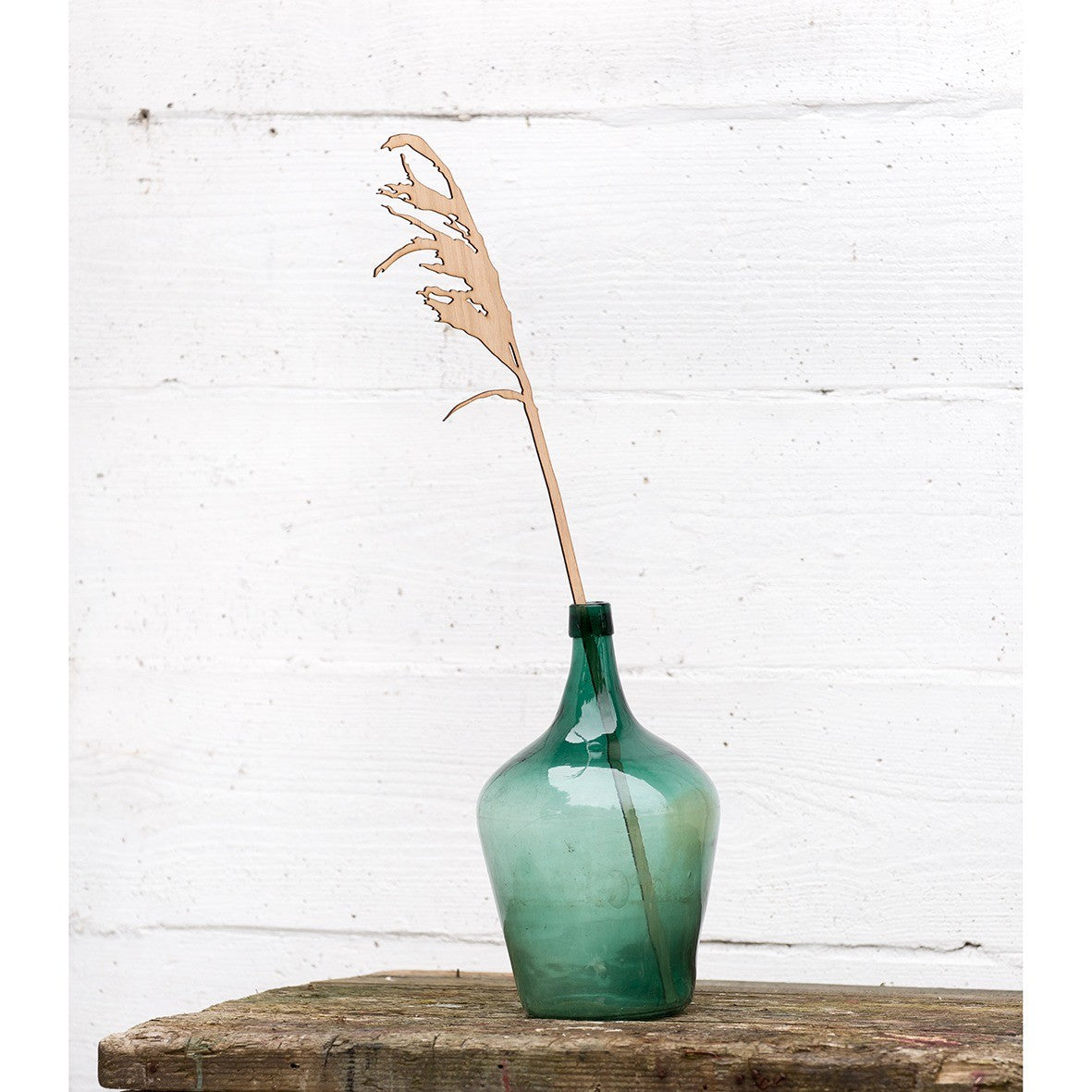 Reed Branch | Rietstengel