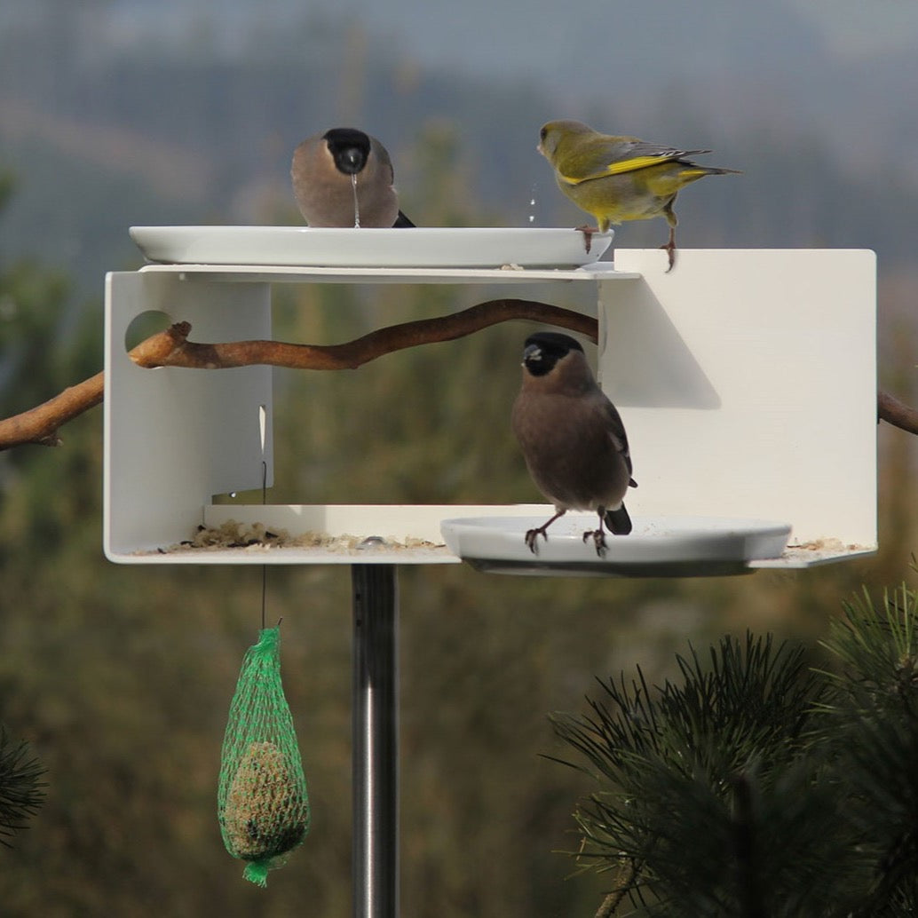 Voederhuisje Bauhaus met twee schalen