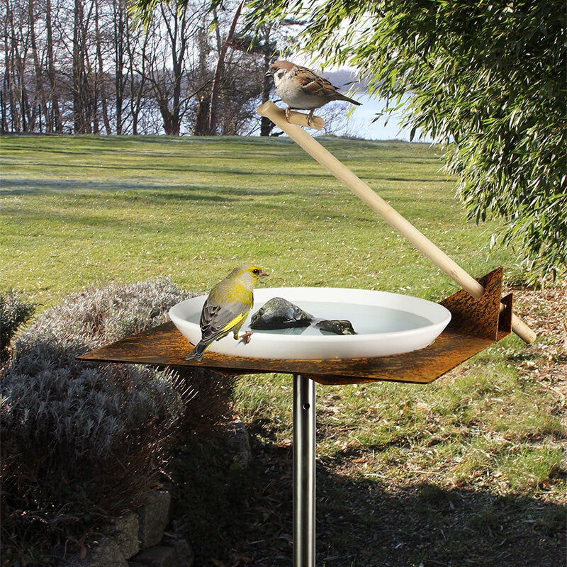 Hoogvlieger Vogeldrinkschaal &amp; Vogelbad