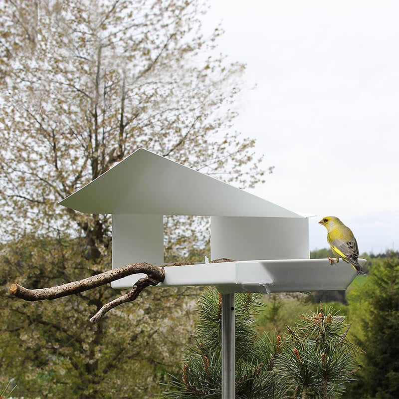 Waterloop voederhuisje wit