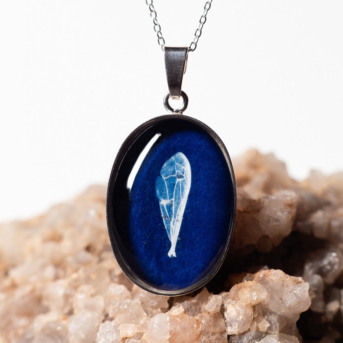 Hanger met cyanotype Vleugel Wesp