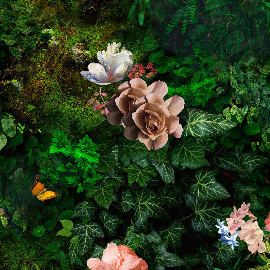 Behang The Peacock I Airtex