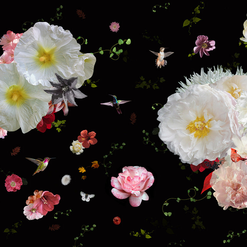 Behang Roses Sunrise I Ecotex-kopie