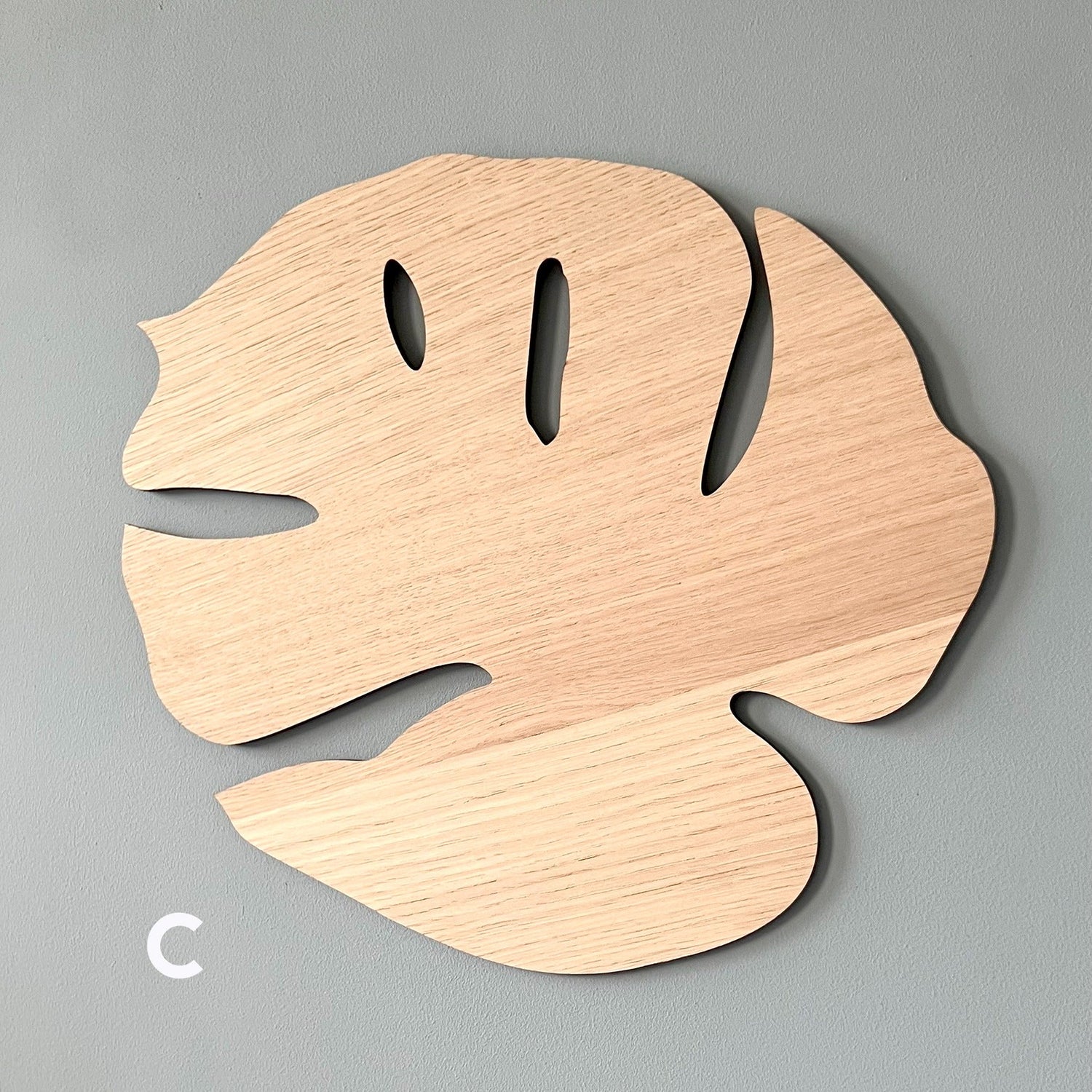 Monstera Wall Flower, oak
