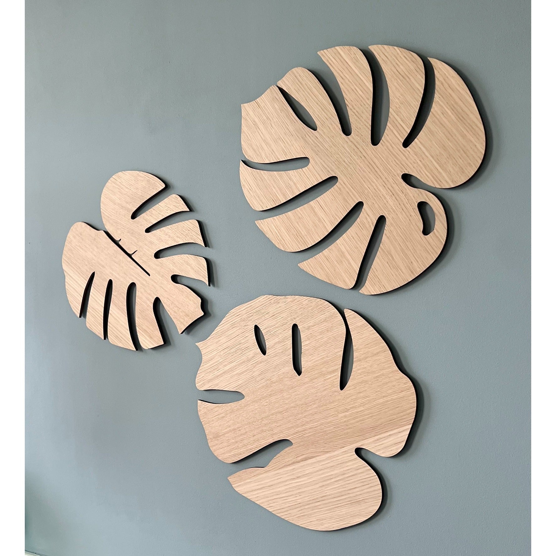 Monstera Wall Flower, oak