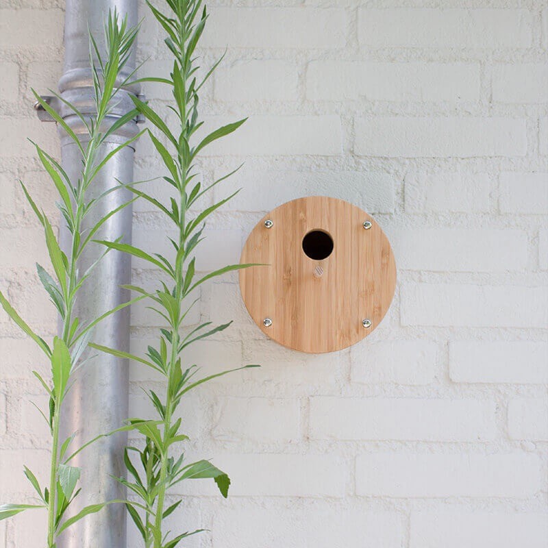 Bamboe Vogelhuisje Fly Inn - Wand model