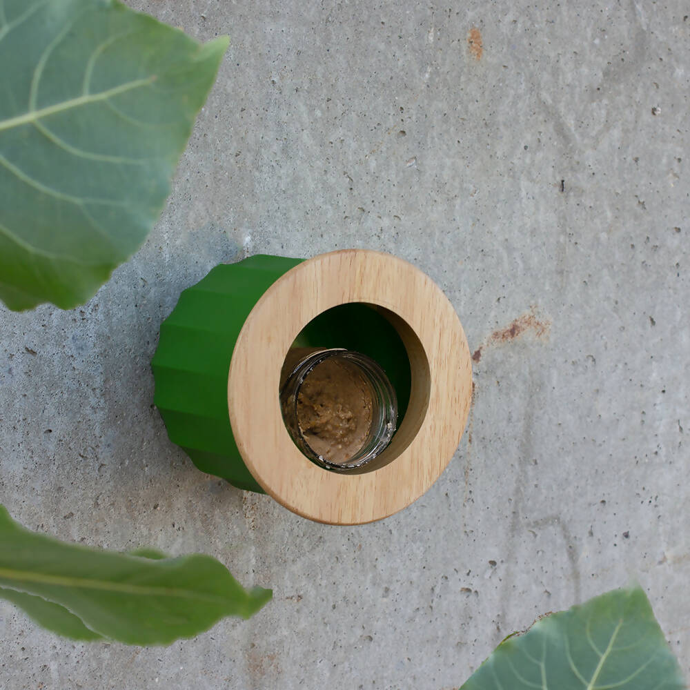 Cactus Vogel- & Voederhuisje