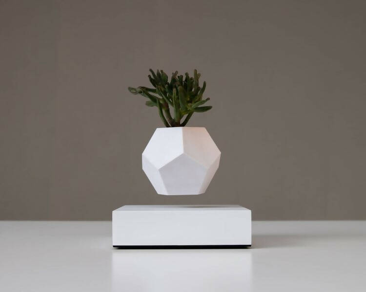 LYFE Levitating Planter – White