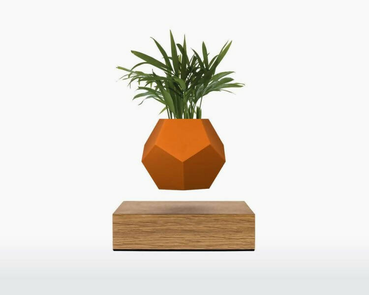 Silicone Skin – LYFE