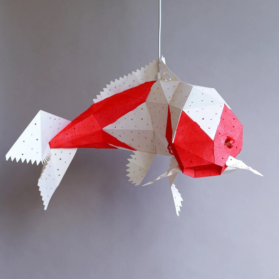Koi Kohaku Light I