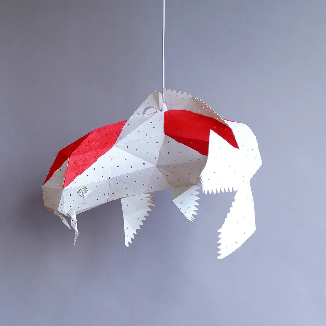 Koi Kohaku Light II
