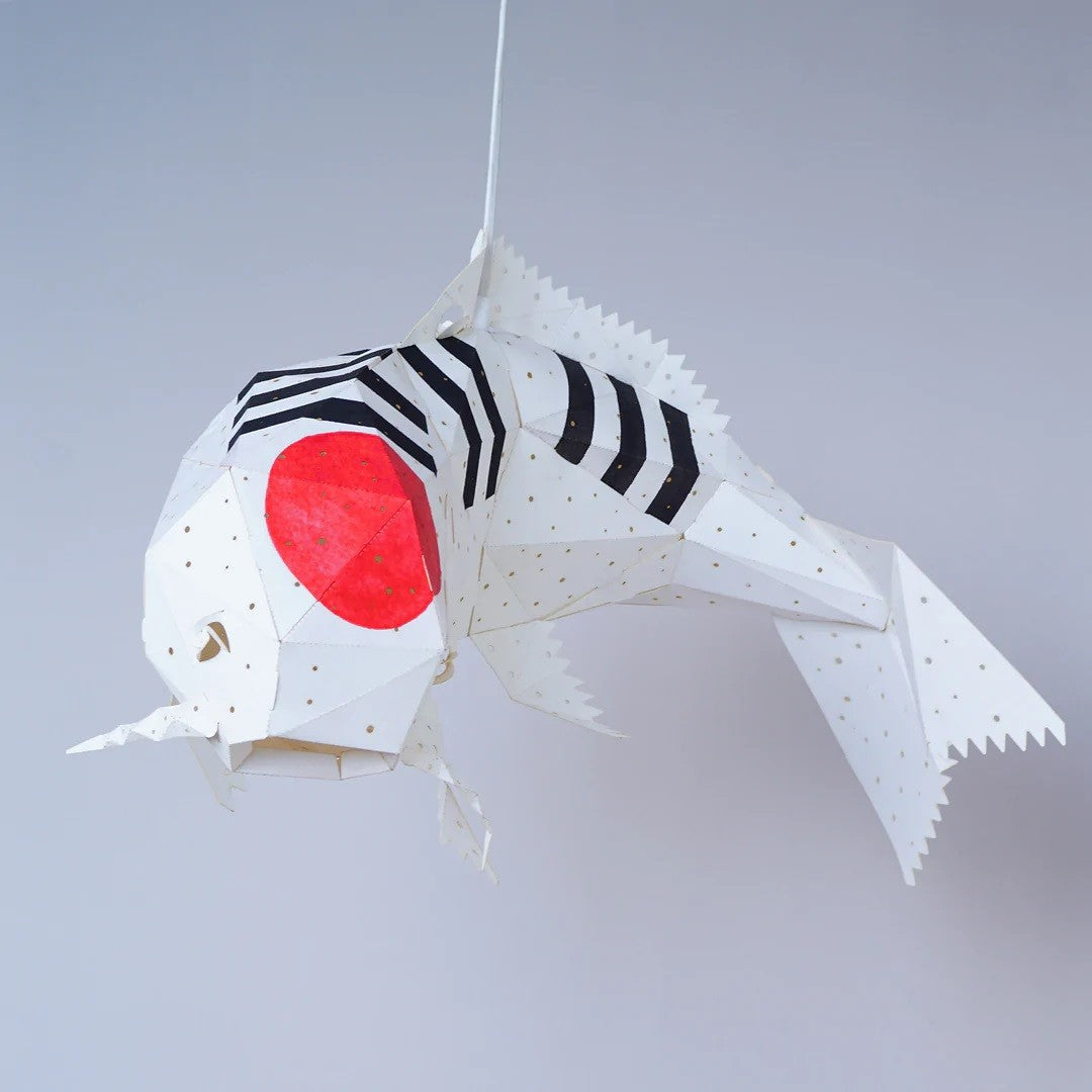 Koi Showa Light