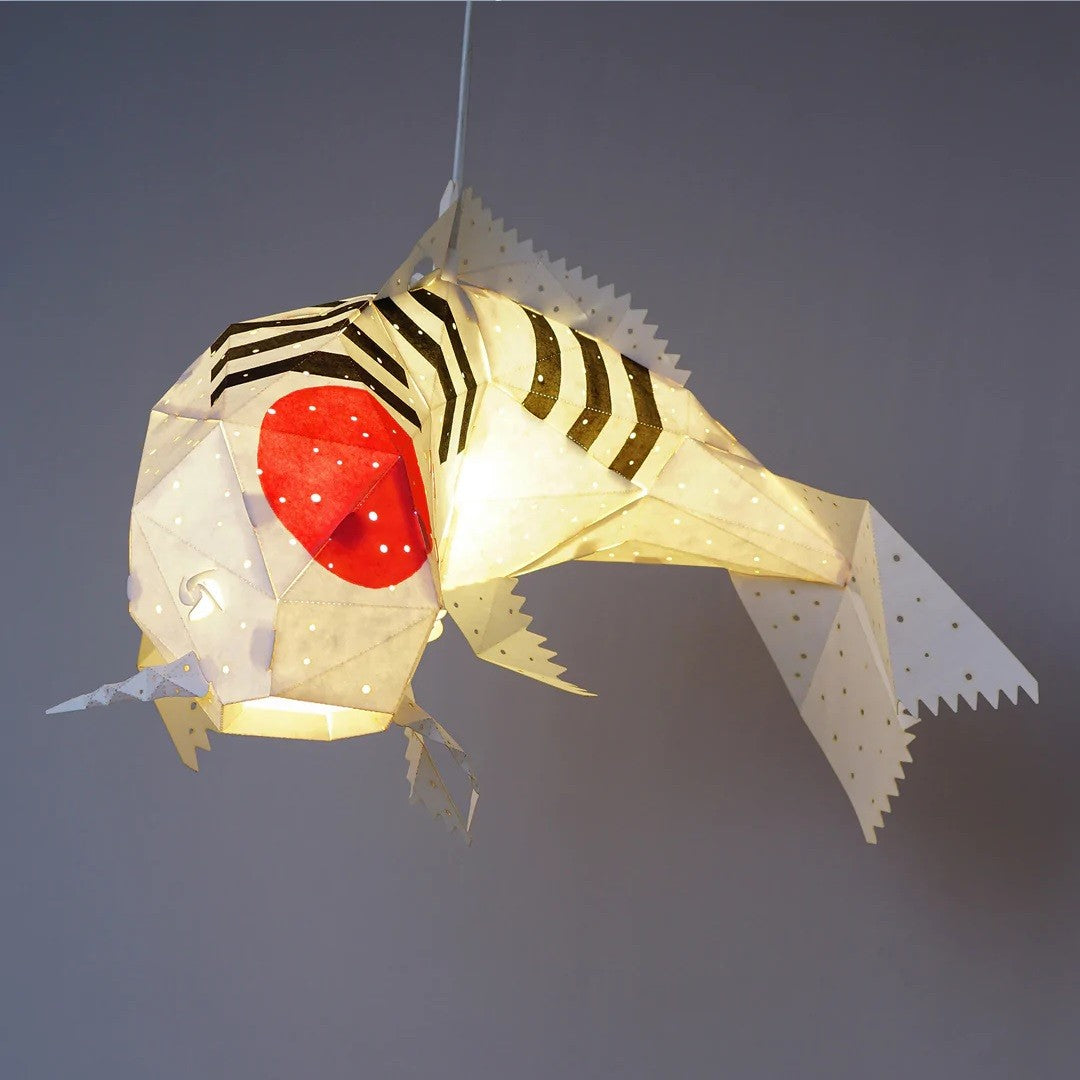 Koi Showa Light