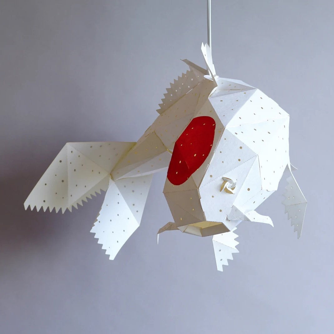 Koi Tancho Light