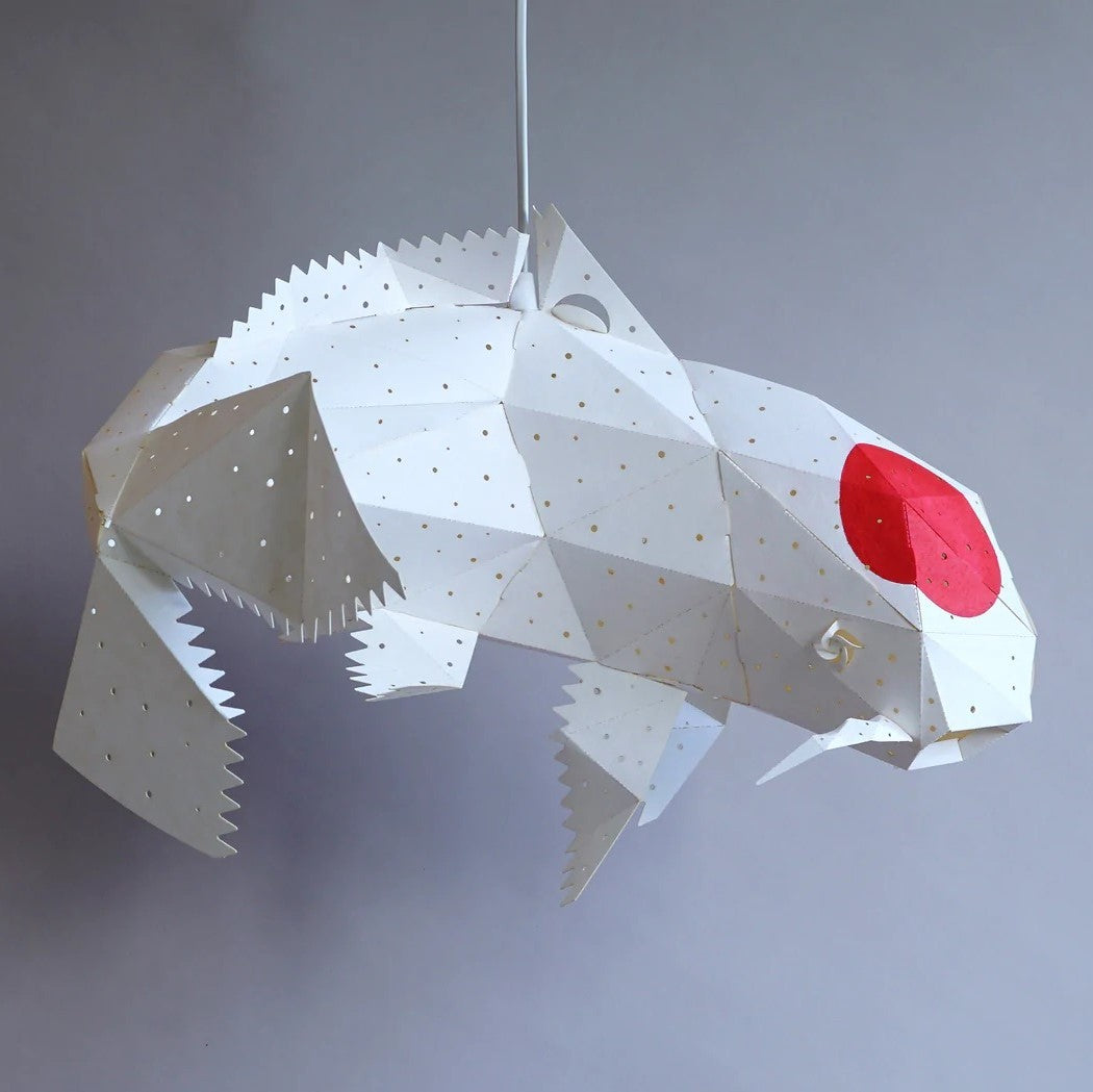 Koi Tancho Light