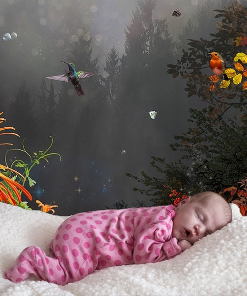 Behang Night I Provinyl