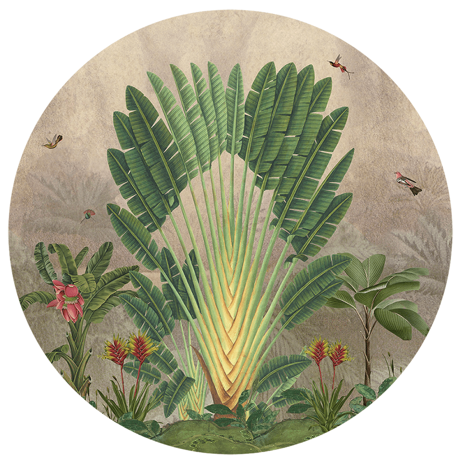 Behangcirkel ⌀ 100 cm Banana Tree