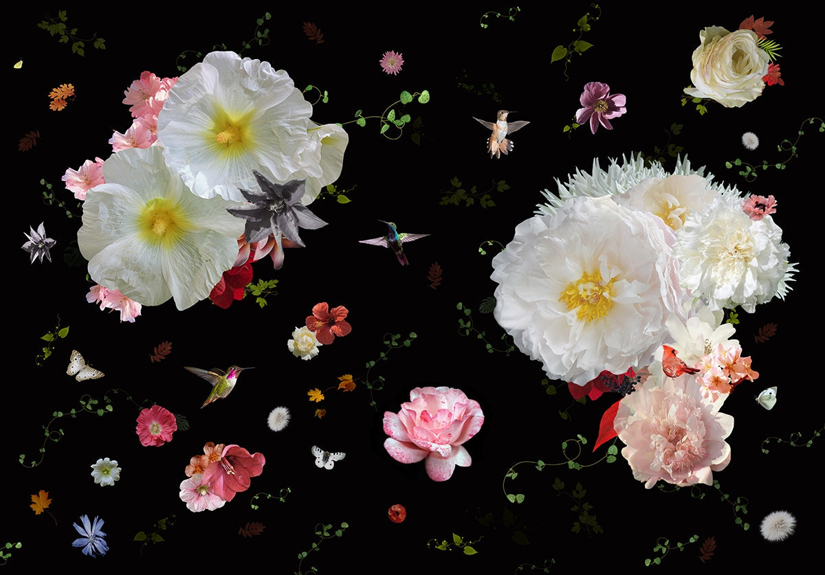 Behang Roses Sunrise I Ecotex