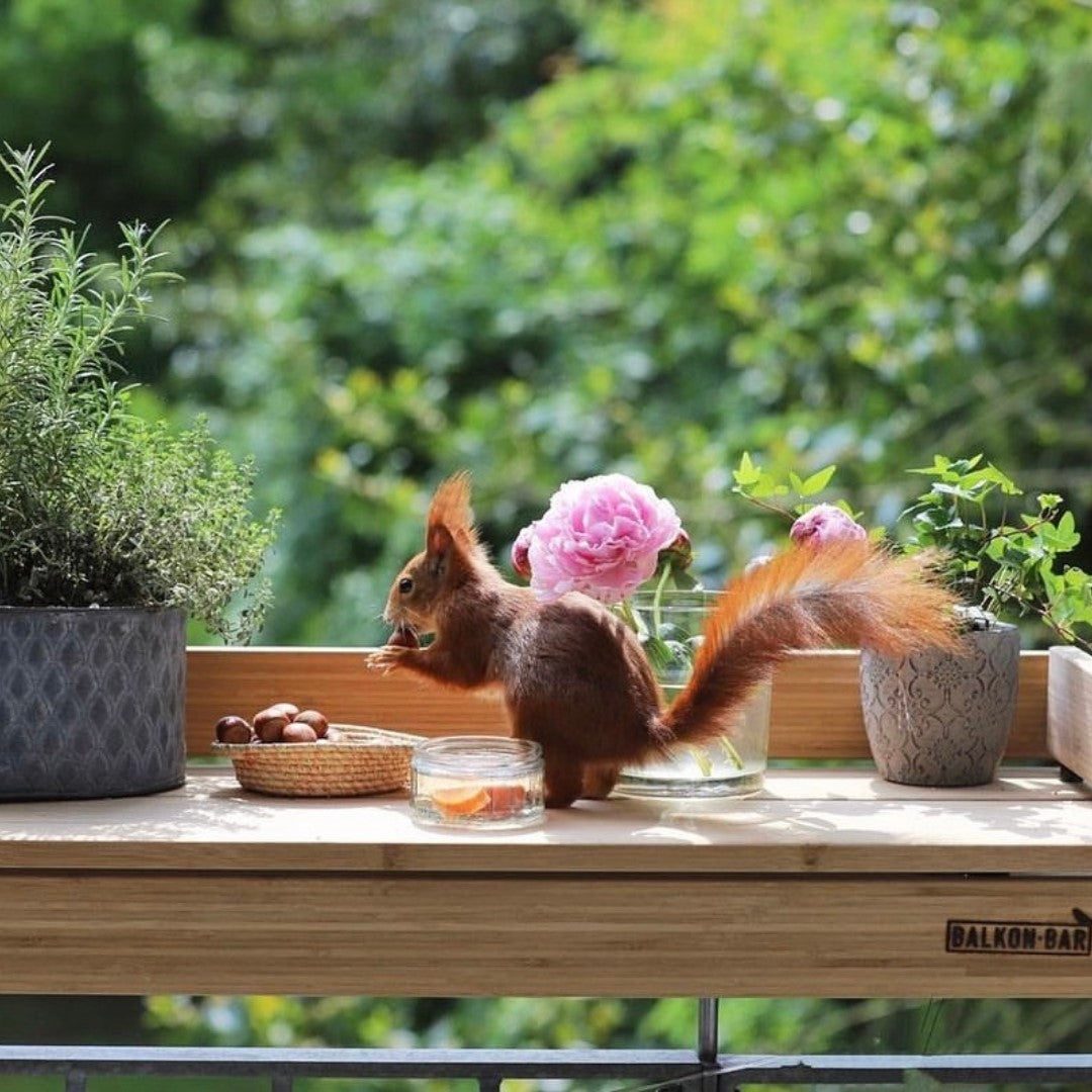 Balkonbar Classic Pine