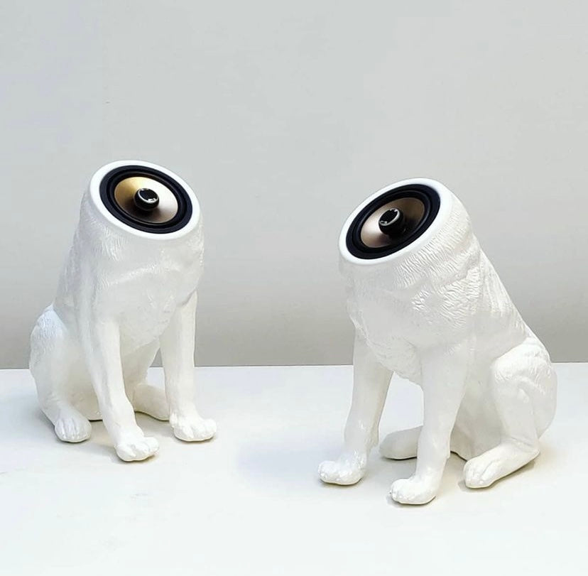 Woofer / speakersysteem (set van 2)